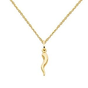 14k Gold Cornicello Italian Horn Pendand & Chain